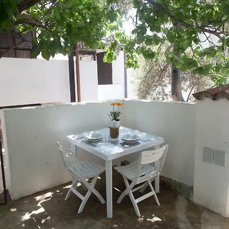 Limone * קפיטנה